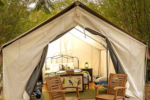 San Diego Safari Park Glamping Premium Tent