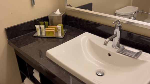 Hilton-Anaheim-bathroom-sink.jpg