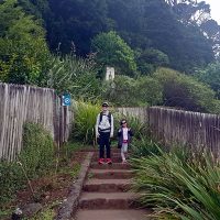 Family Travel Mount Eden Auckland New Zealand